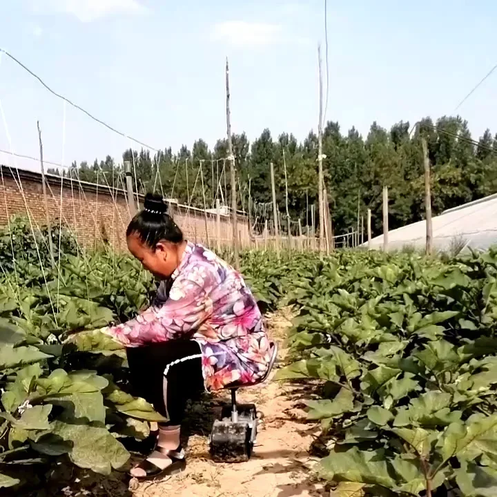 360 Degree Greenhouse Lazy Ben - Agriculture Farming Degree review and price